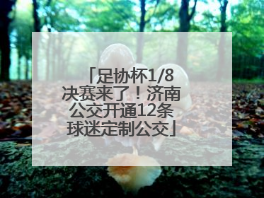足协杯1/8决赛来了！济南公交开通12条球迷定制公交