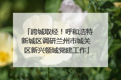 跨城取经！呼和浩特新城区调研兰州市城关区新兴领域党建工作