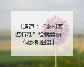 通道：“乡村著名行动”绘就美丽侗乡新图景