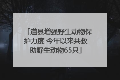 道县增强野生动物保护力度 今年以来共救助野生动物65只