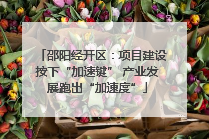 邵阳经开区：项目建设按下“加速键” 产业发展跑出“加速度”