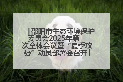 邵阳市生态环境保护委员会2025年第一次全体会议暨“夏季攻势”动员部署会召开