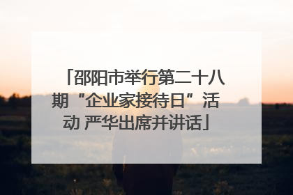 邵阳市举行第二十八期“企业家接待日”活动 严华出席并讲话