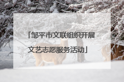 邹平市文联组织开展文艺志愿服务活动