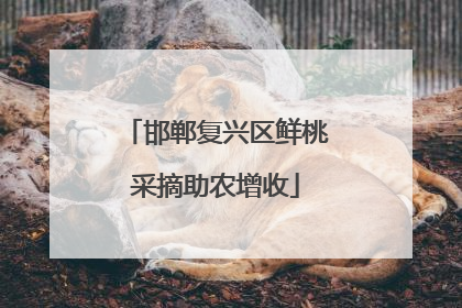 邯郸复兴区鲜桃采摘助农增收