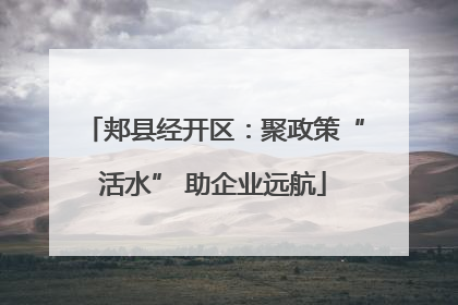 郏县经开区：聚政策“活水” 助企业远航