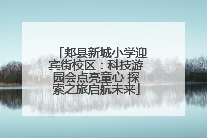 郏县新城小学迎宾街校区：科技游园会点亮童心 探索之旅启航未来