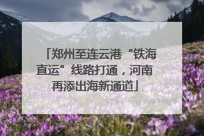 郑州至连云港“铁海直运”线路打通，河南再添出海新通道