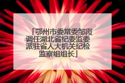 鄂州市委常委邹霞调任湖北省纪委监委派驻省人大机关纪检监察组组长