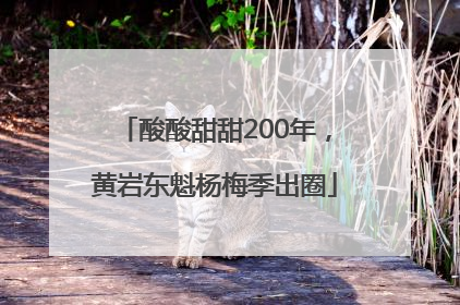 酸酸甜甜200年，黄岩东魁杨梅季出圈
