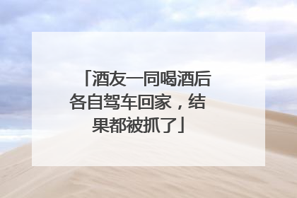 酒友一同喝酒后各自驾车回家，结果都被抓了