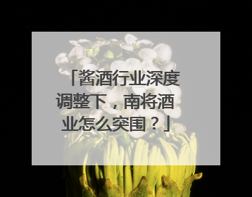 酱酒行业深度调整下，南将酒业怎么突围？