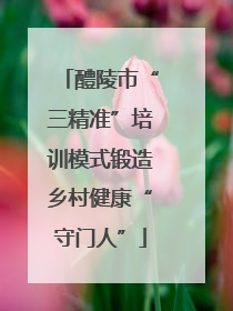 醴陵市“三精准”培训模式锻造乡村健康“守门人”