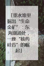 重水堆里掘出“生命金矿”：东海潮涌处，一座“核药硅谷”的崛起