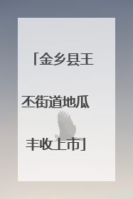 金乡县王丕街道地瓜丰收上市