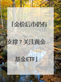 金价后市仍有支撑？关注黄金基金ETF