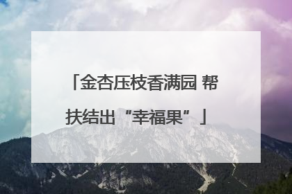 金杏压枝香满园 帮扶结出“幸福果”