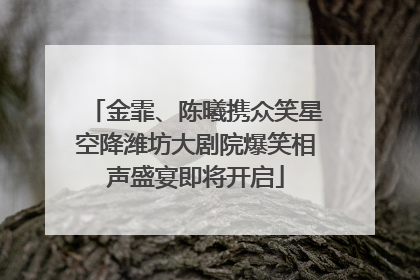 金霏、陈曦携众笑星空降潍坊大剧院爆笑相声盛宴即将开启