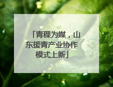 青稞为媒，山东援青产业协作模式上新