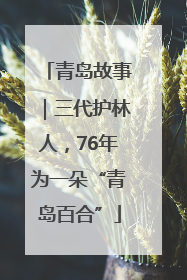 青岛故事｜三代护林人，76年为一朵“青岛百合”