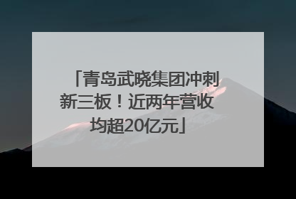 青岛武晓集团冲刺新三板！近两年营收均超20亿元