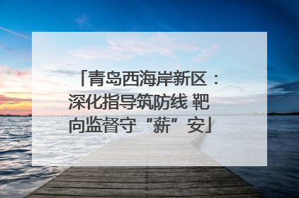 青岛西海岸新区：深化指导筑防线 靶向监督守“薪”安