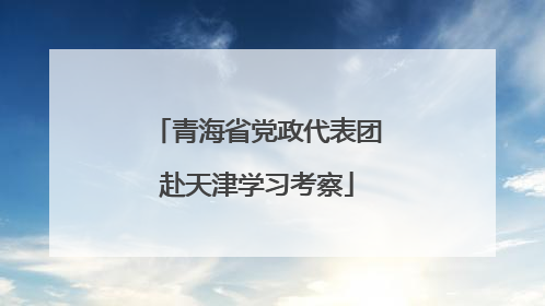 青海省党政代表团赴天津学习考察