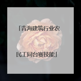 青海建筑行业农民工同台赛技能