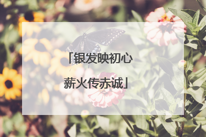 银发映初心 薪火传赤诚