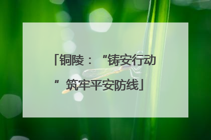 铜陵：“铸安行动”筑牢平安防线