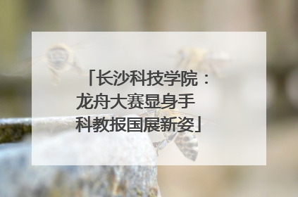 长沙科技学院：龙舟大赛显身手 科教报国展新姿