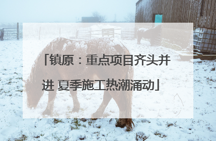 镇原：重点项目齐头并进 夏季施工热潮涌动