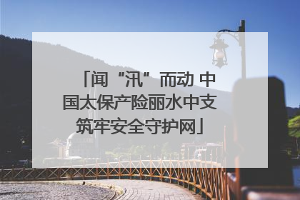 闻“汛”而动 中国太保产险丽水中支筑牢安全守护网
