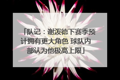 队记：谢泼德下赛季预计拥有更大角色 球队内部认为他极高上限