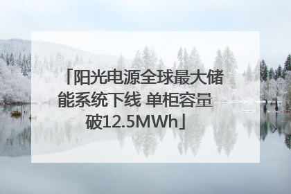 阳光电源全球最大储能系统下线 单柜容量破12.5MWh