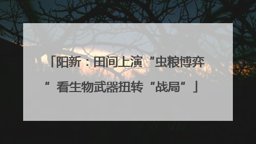 阳新：田间上演“虫粮博弈”看生物武器扭转“战局”