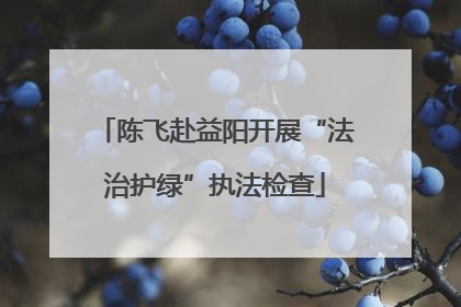 陈飞赴益阳开展“法治护绿”执法检查