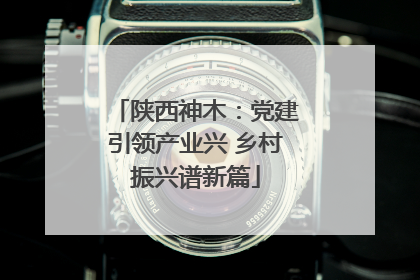 陕西神木：党建引领产业兴 乡村振兴谱新篇