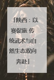 陕西：以赛促旅 传统武术与自然生态双向奔赴
