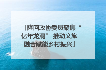 隆回政协委员聚焦“亿年龙洞” 推动文旅融合赋能乡村振兴
