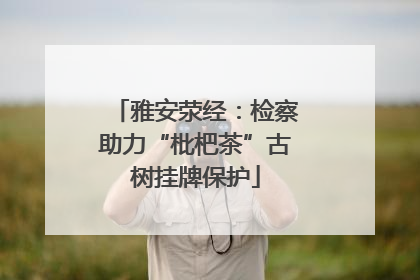 雅安荥经：检察助力“枇杷茶”古树挂牌保护