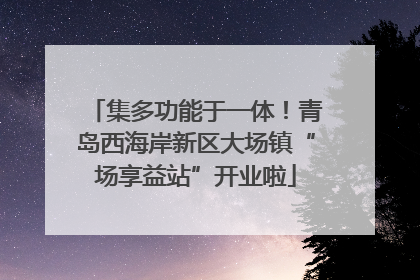 集多功能于一体！青岛西海岸新区大场镇“场享益站”开业啦