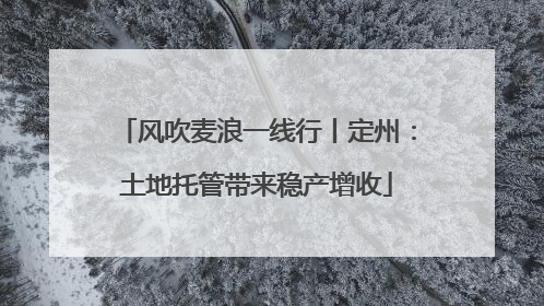 风吹麦浪一线行丨定州：土地托管带来稳产增收