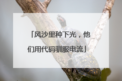 风沙里种下光，他们用代码驯服电流