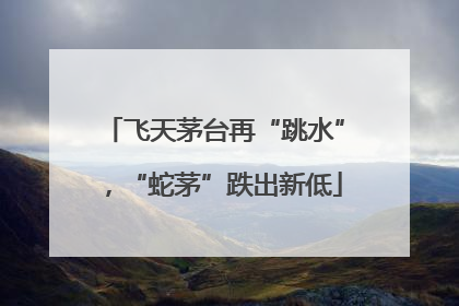 飞天茅台再“跳水”，“蛇茅”跌出新低