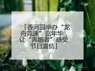 香河园举办“龙舟竞速”嘉年华，让“奔跑者”感受节日温情