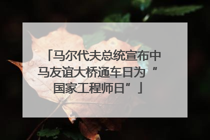 马尔代夫总统宣布中马友谊大桥通车日为“国家工程师日”