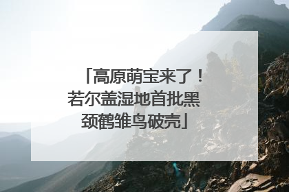 高原萌宝来了！若尔盖湿地首批黑颈鹤雏鸟破壳