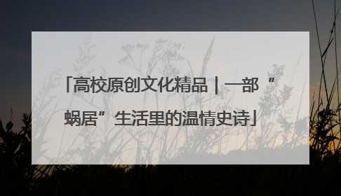 高校原创文化精品｜一部“蜗居”生活里的温情史诗