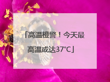 高温橙警！今天最高温或达37℃